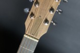Gibson G-00-5.jpg